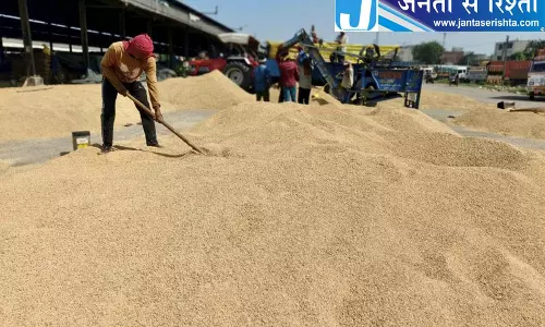 धान खरीद में गड़बड़ी का आरोप, लुधियाना के किसानों ने उठाए सवाल