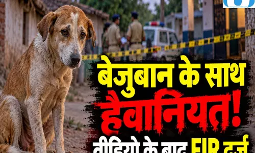 बेजुबान के साथ हैवानियत! मादा कुत्ते से दुष्कर्म