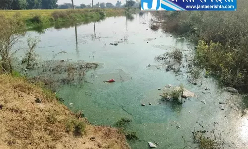 रेवाड़ी में कचरा और गंदे पानी का मामला, BDPO पर कार्रवाई रेवाड़ी में कचरा और गंदे पानी का मामला, BDPO पर कार्रवाई