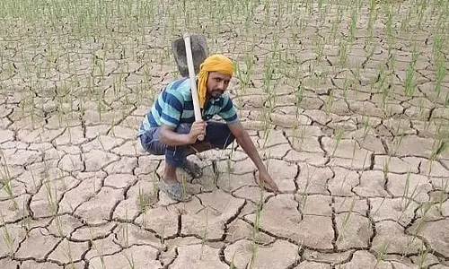 जल संकट: सत्तरी में सूखे के कारण फसलों पर मंडराया खतरा
