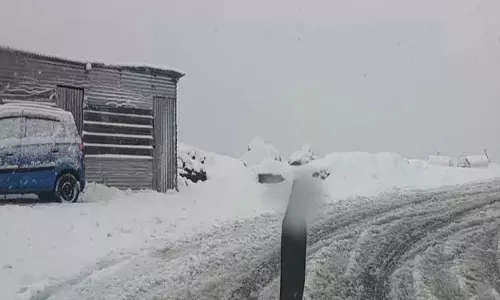 हिमाचल में मौसम का बड़ा बदलाव पहाड़ों पर बर्फबारी से बढ़ी ठंड हिमाचल में मौसम का बड़ा बदलाव पहाड़ों पर बर्फबारी से बढ़ी ठंड