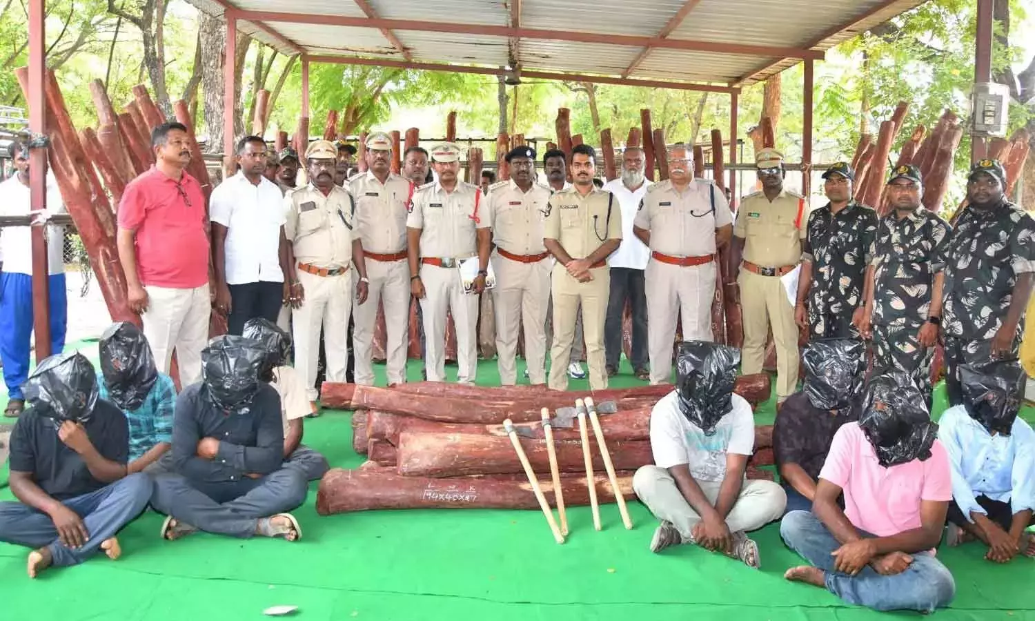 Andhra: 8 लाल चंदन तस्कर गिरफ्तार; 70 लकड़ियाँ जब्त की गईं Andhra: 8 लाल चंदन तस्कर गिरफ्तार; 70 लकड़ियाँ जब्त की गईं