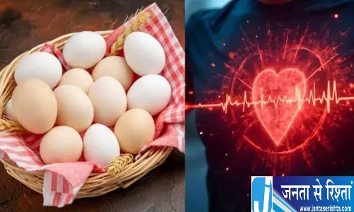 4 अंडे रोज खाने वाले जरूर जानें ये बात दिल की सेहत पर पड़ सकता है असर