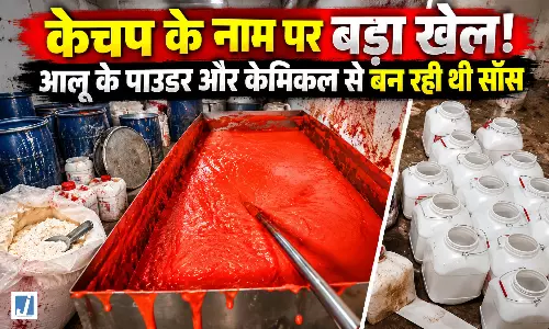 बिना टमाटर बन रहा था केचप! फैक्ट्री से 2000 किलो नकली सॉस बरामद, जानकर रह जाएंगे हैरान
