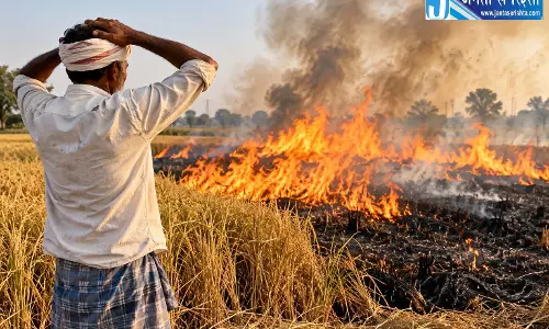 सरकारी नाकामी से नाराज किसान ने फसल में लगाई आग