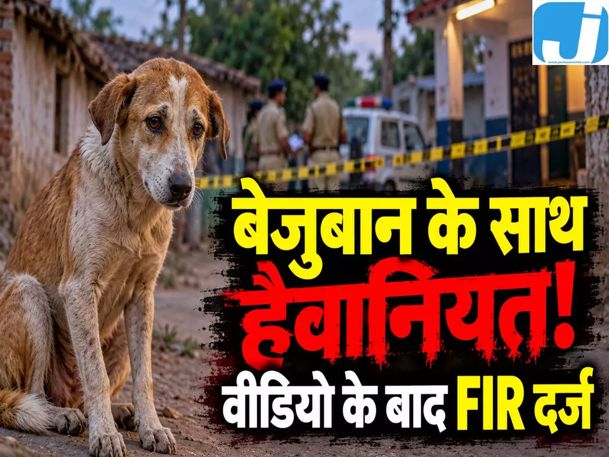 बेजुबान के साथ हैवानियत! मादा कुत्ते से दुष्कर्म बेजुबान के साथ हैवानियत! मादा कुत्ते से दुष्कर्म
