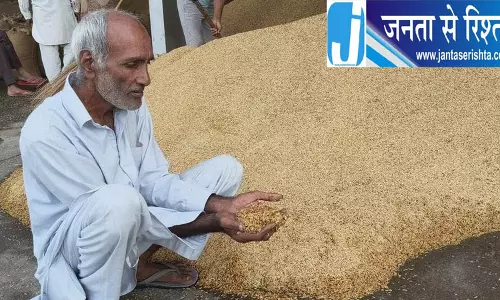 हरियाणा में बारिश से धान खरीदी ठप, किसानों की बढ़ी मुश्किलें हरियाणा में बारिश से धान खरीदी ठप, किसानों की बढ़ी मुश्किलें
