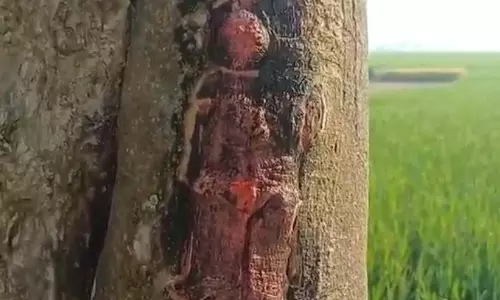 अनोखा नजारा: पेड़ पर हनुमान जी की आकृति दिखने का दावा, उमड़ी भीड़ अनोखा नजारा: पेड़ पर हनुमान जी की आकृति दिखने का दावा, उमड़ी भीड़