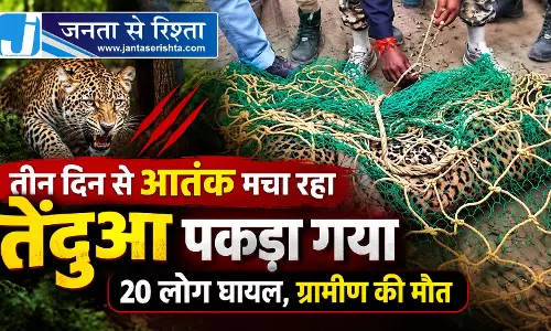 तीन दिन से आतंक मचा रहा तेंदुआ पकड़ा गया, 20 लोग घायल, ग्रामीण की मौत तीन दिन से आतंक मचा रहा तेंदुआ पकड़ा गया, 20 लोग घायल, ग्रामीण की मौत