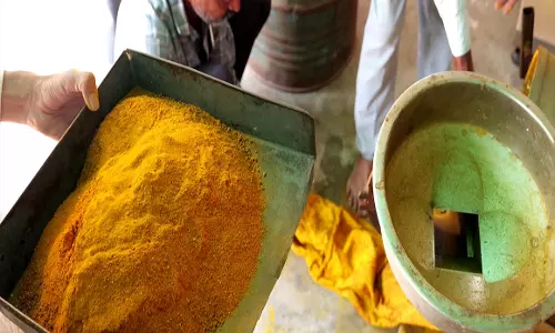 70 साल की उम्र में किसान का कमाल हल्दी की खेती से बढ़ा रहे कमाई 70 साल की उम्र में किसान का कमाल हल्दी की खेती से बढ़ा रहे कमाई