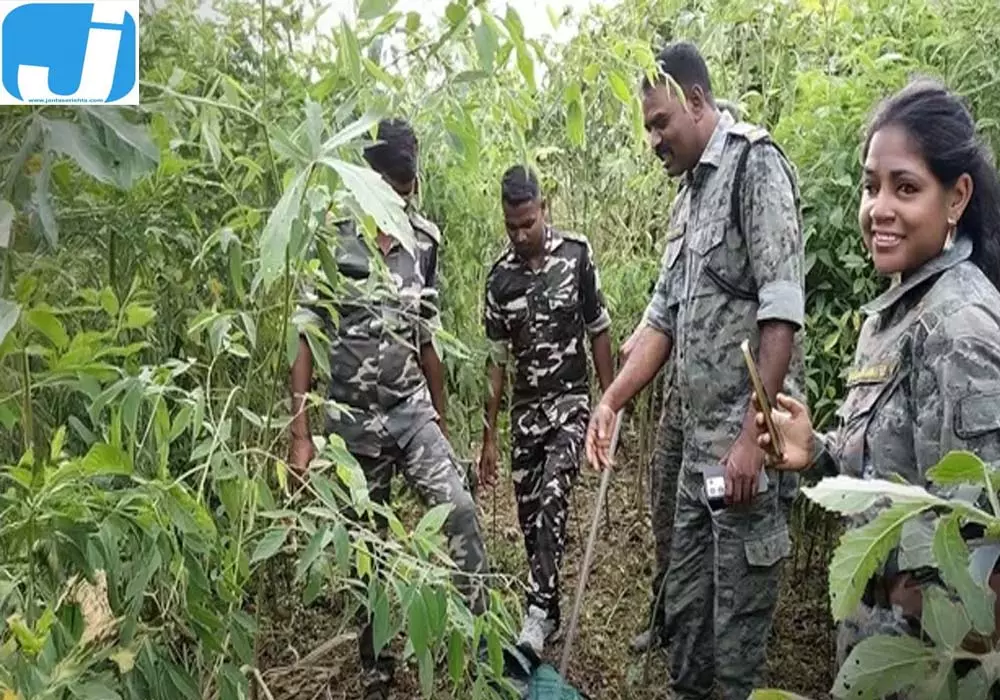 अवैध शराब के ठिकानों पर पुलिस की दबिश, जावा महुआ और महुआ शराब नष्ट अवैध शराब के ठिकानों पर पुलिस की दबिश, जावा महुआ और महुआ शराब नष्ट