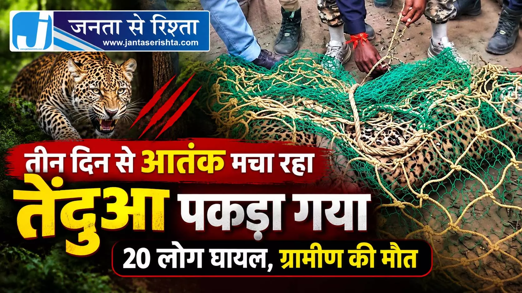 तीन दिन से आतंक मचा रहा तेंदुआ पकड़ा गया, 20 लोग घायल, ग्रामीण की मौत तीन दिन से आतंक मचा रहा तेंदुआ पकड़ा गया, 20 लोग घायल, ग्रामीण की मौत
