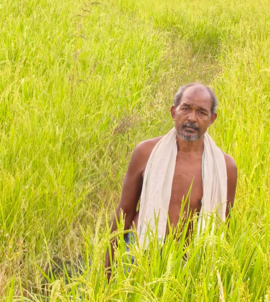 कृषक उन्नति योजना से शंकर प्रसाद की खेती को मिलेगा आर्थिक संबल कृषक उन्नति योजना से शंकर प्रसाद की खेती को मिलेगा आर्थिक संबल