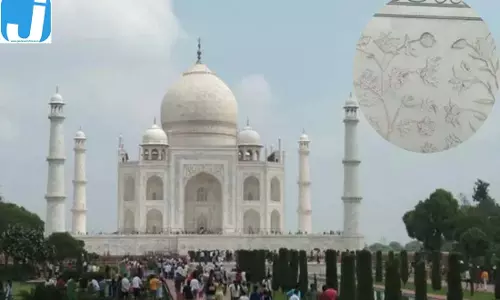 ताजमहल के सफेद संगमरमर पर भूरे दाग, कीड़ों ने फिर बिगाड़ी खूबसूरती ताजमहल के सफेद संगमरमर पर भूरे दाग, कीड़ों ने फिर बिगाड़ी खूबसूरती