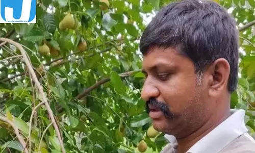 12वीं पास किसान का कमाल! 8 एकड़ जमीन से 25 लाख तक का सालाना टर्नओवर, जानें खेती का तरीका