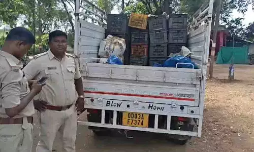 छत्तीसगढ़ में सीताफल तस्करी का खेल, झारखंड की गाड़ी फरार, ओडिशा की जब्त छत्तीसगढ़ में सीताफल तस्करी का खेल, झारखंड की गाड़ी फरार, ओडिशा की जब्त