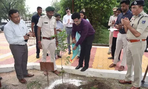 कलेक्ट्रेट शताब्दी गार्डन में पौधरोपण कलेक्ट्रेट शताब्दी गार्डन में पौधरोपण