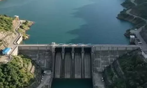 कोलडैम विस्थापित समिति मंडी जनहित याचिका में शामिल करने की अनुमति