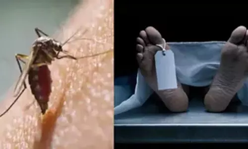 एक हफ्ते में डेंगू के 300 से ज्यादा केस, दो की मौत एक हफ्ते में डेंगू के 300 से ज्यादा केस, दो की मौत