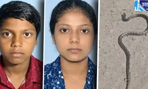 सांप के काटने से सगे भाई-बहन की मौत