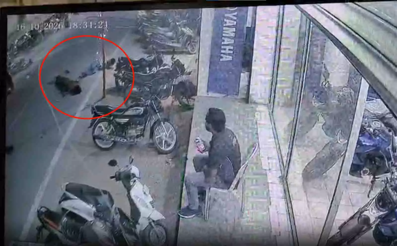अंबिकापुर में दर्दनाक हादसा, सड़क पर बंधी रस्सी से गई युवक की जान अंबिकापुर में दर्दनाक हादसा, सड़क पर बंधी रस्सी से गई युवक की जान
