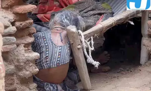 3 साल की पोती को बचाने में दादी की हत्या, चाकू से हमला कर आरोपी फरार, बिलासपुर में सनसनी