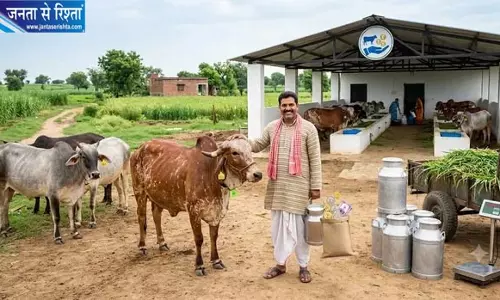किसानों के लिए खुशखबरी, 10 गायों की डेयरी खोलने पर मिलेगी 11.80 लाख की सब्सिडी