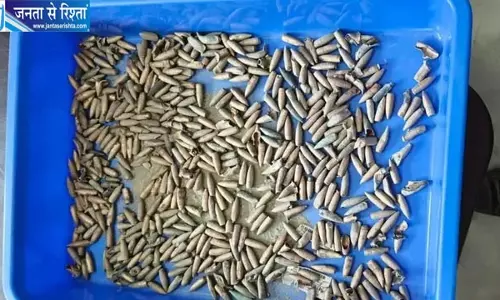 भारत-नेपाल बॉर्डर पर 350 जिंदा कारतूस के साथ हवलदार गिरफ्तार भारत-नेपाल बॉर्डर पर 350 जिंदा कारतूस के साथ हवलदार गिरफ्तार