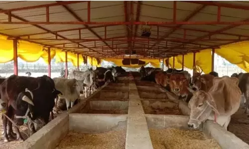 केंद्रीय विद्यालय के लिए पहले दी NOC, फिर हाईकोर्ट में कर दी याचिका