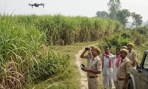 गन्ने के खेतों में बाघों की दहशत, अब तक 18 लोगों की मौत का दावा गन्ने के खेतों में बाघों की दहशत, अब तक 18 लोगों की मौत का दावा