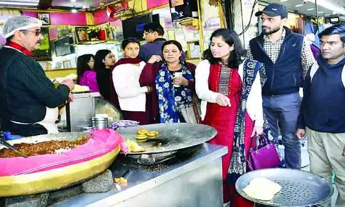 गुलाब जामुन में मिले कॉकरोच और मक्खियां, शिमला में हडक़ंप गुलाब जामुन में मिले कॉकरोच और मक्खियां, शिमला में हडक़ंप
