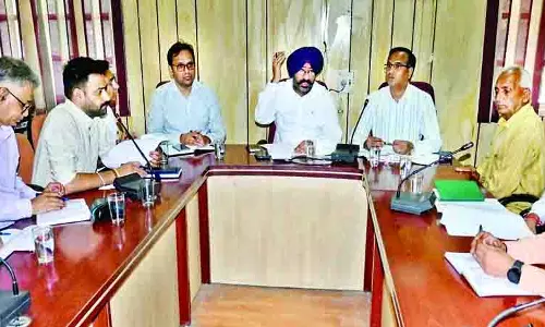 वन भूमि की मंजूरी के लंबित मामलों में तेजी लाएं अधिकारी