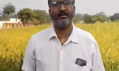 धान की जगह रागी की खेती से दिनेश को मिलेगा 10 हजार रुपये का प्रोत्साहन