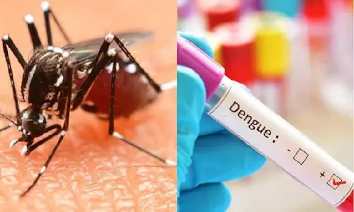 पुणे में डेंगू का कहर, 2 हजार से ज्यादा मामले