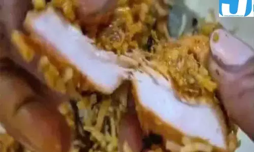 बिलासपुर में शाकाहारी परिवार ने Zomato से मंगवाई पनीर बिरयानी, निकला चिकन! बिलासपुर में शाकाहारी परिवार ने Zomato से मंगवाई पनीर बिरयानी, निकला चिकन!