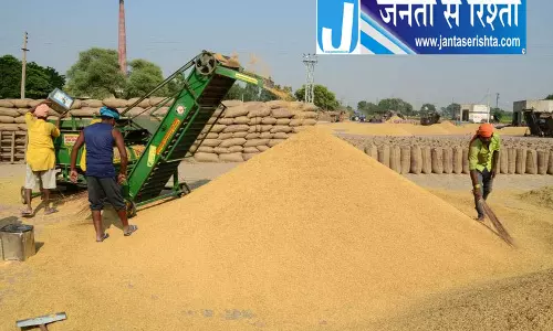 पंजाब में धान किसानों को झटका, बारिश से प्रभावित फसल की खरीद पर संकट पंजाब में धान किसानों को झटका, बारिश से प्रभावित फसल की खरीद पर संकट