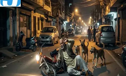 कुत्तों के पीछे दौड़ने से बिगड़ा मोपेड का संतुलन, बुजुर्ग की मौत