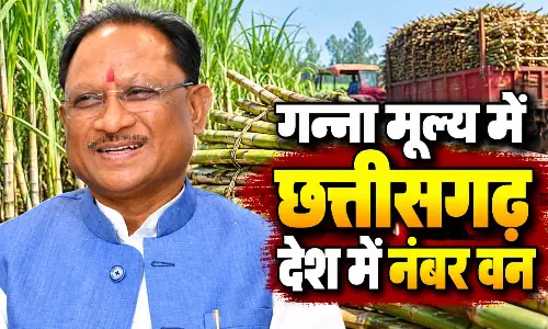 गन्ना मूल्य में छत्तीसगढ़ देश में नंबर वन गन्ना मूल्य में छत्तीसगढ़ देश में नंबर वन