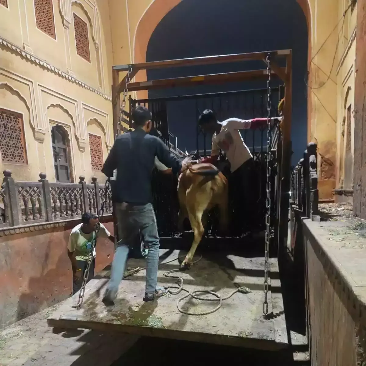 हिंगोनिया गौशाला में कारकस निस्तारण के लिए बनेगा नया प्लांट