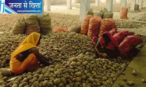 किसानों के लिए बड़ी खुशखबरी, अनुदान पर मिलेगा आलू का बीज, ऑनलाइन बुकिंग शुरू किसानों के लिए बड़ी खुशखबरी, अनुदान पर मिलेगा आलू का बीज, ऑनलाइन बुकिंग शुरू