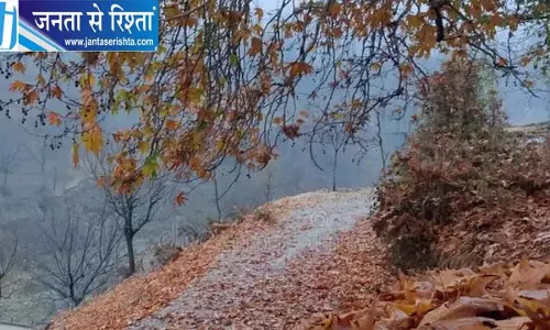 चिनार काटने के प्रस्ताव पर सियासी घमासान