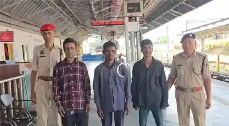 रेलवे स्टेशन पर आरपीएफ की जांच में पकड़े गए तीन बांग्लादेशी रेलवे स्टेशन पर आरपीएफ की जांच में पकड़े गए तीन बांग्लादेशी