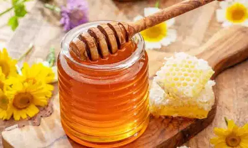 नौणी में खुलेगा प्रदेश का पहला मधु विज्ञान केंद्र