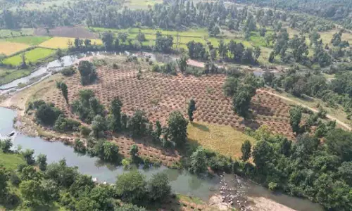 जल संरक्षण से बदलेगी ग्राम दर्री की तस्वीर, 24 लाख 30 हजार लीटर वर्षा जल सहेजने की अनूठी पहल