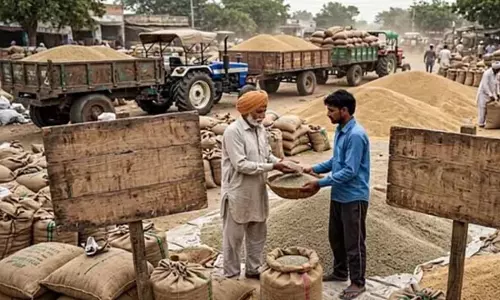 बाजरे से भरी तावड़ू मंडी, नया रिकॉर्ड बनने के करीब