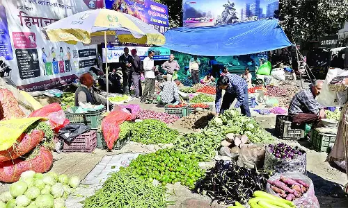 आलू 60, टमाटर और भिंडी 40 रुपए किलो