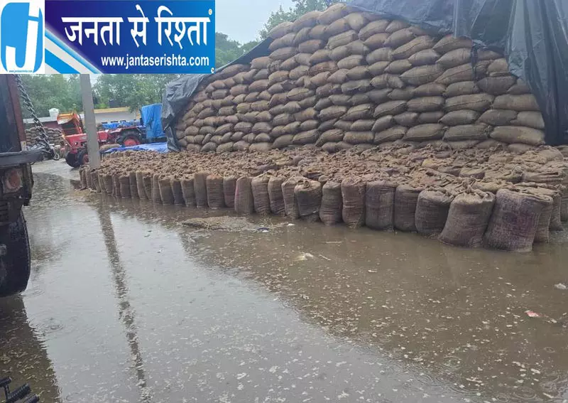 चावल की गुणवत्ता मानकों में बदलाव की मांग, मिलर्स ने उठाया बड़ा मुद्दा चावल की गुणवत्ता मानकों में बदलाव की मांग, मिलर्स ने उठाया बड़ा मुद्दा