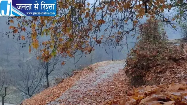 चिनार काटने के प्रस्ताव पर सियासी घमासान चिनार काटने के प्रस्ताव पर सियासी घमासान