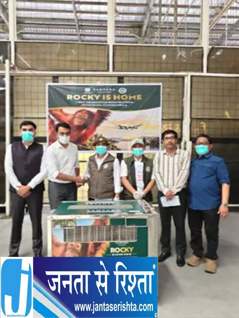भारत से इंडोनेशिया लौटा दुर्लभ ओरांगुटान का बच्चा भारत से इंडोनेशिया लौटा दुर्लभ ओरांगुटान का बच्चा