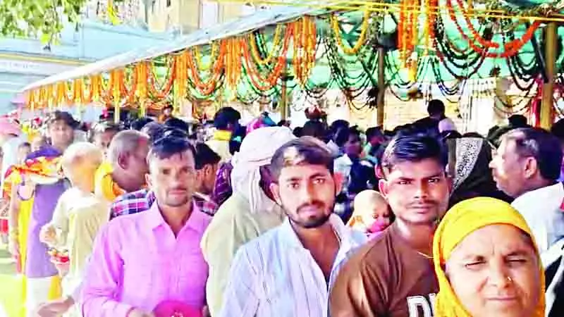 जयकारों से गूंज रहे देवियों के दरबार, मंदिरों में उमड़ रहा भक्तों का सैलाब जयकारों से गूंज रहे देवियों के दरबार, मंदिरों में उमड़ रहा भक्तों का सैलाब